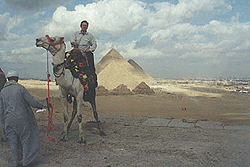 egypt on a camel